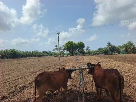 વેચવાનો છે