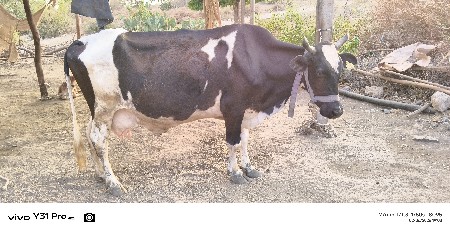 વેચવાની છે