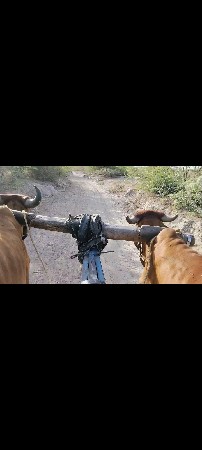 વેચવાના છે