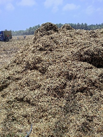 અળદ નો ભુકો વેચવાનો છે.