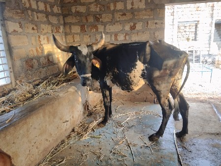 વેચવાની છે