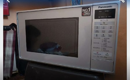 maicro oven