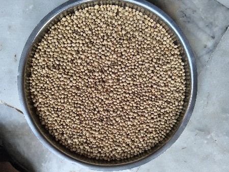 GS-4 (સાદું) સોયાબીન,  ૨.૫ મણ