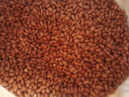 ગીરનાર - ૪