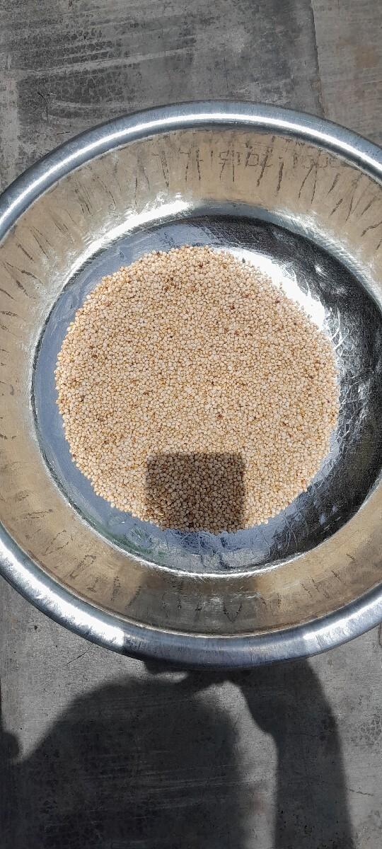 જામરાવલ ના પ્રખ્યાત જુવાર