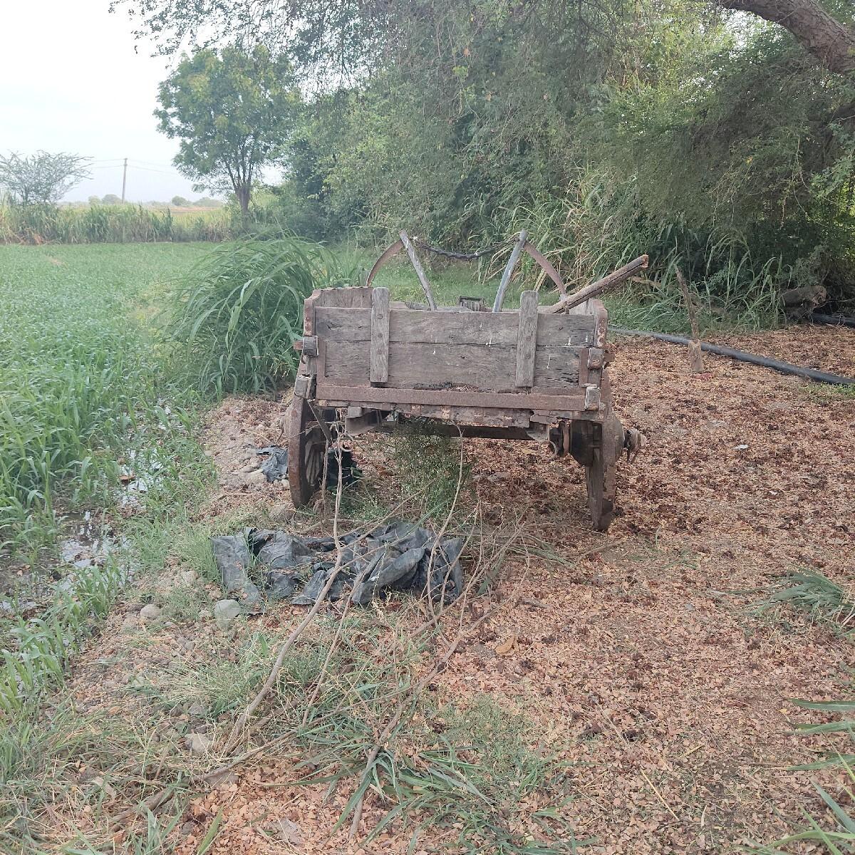 બળદ ગાડું