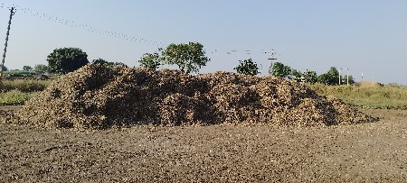 માંડવી નો ભૂકો વહેંચવાનો છે