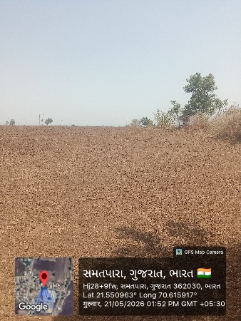 જમીન 7 વીઘા