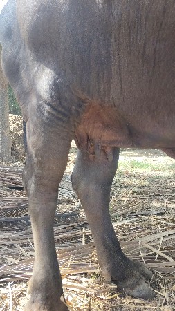 બીજું વેતન