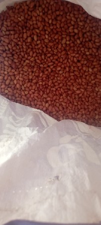 ગિરનાર 4 ના બી વહેંચવા ના છૅ
