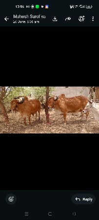 45000 રૂપિયા કિંમત
