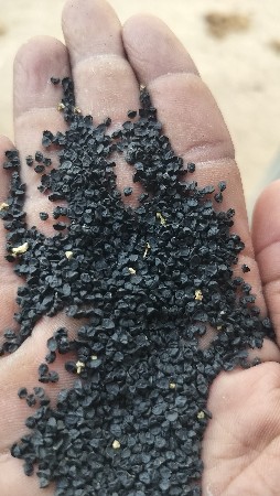 ડુંગળી નું બિયારણ