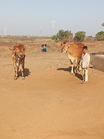 વેચવા છે તાત્કાલિક બધીજવાબદારીથી