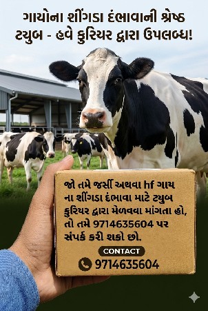 શીંગડા દાભવા ની ટ્યુબ મળી જસે.