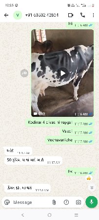 gay 2 ju vetar niche vaddi