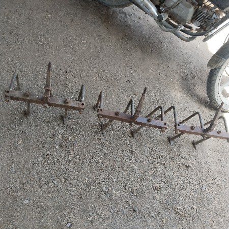 મીંદડા