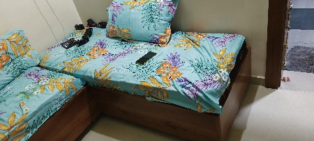 સેટી પેટ્ટી