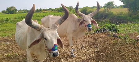 ૩ઘર