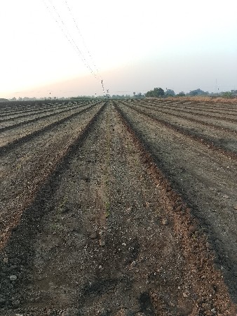 જમીન લે વેસ માટે મલો