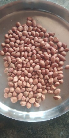 ક્રાંતિ ૯૩ કોરી