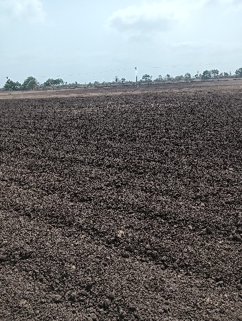 જમીન વેચવાની છે