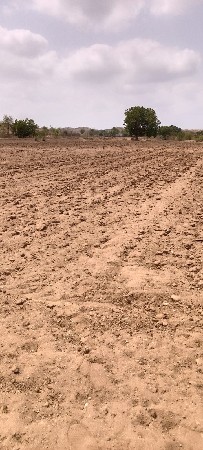 12 લાખ  50 હજાર  રૂપિયા મા