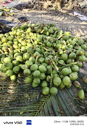 ઈજારો આપવા નો છે