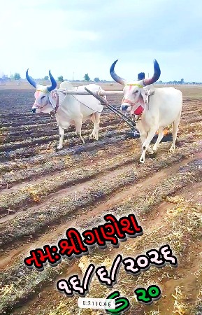 વેચવા ના છે..