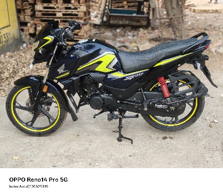SP 2024