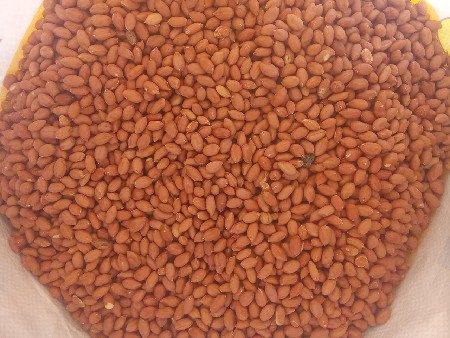 કણ મડવીના