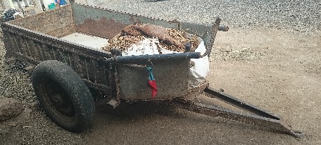 ગાડી