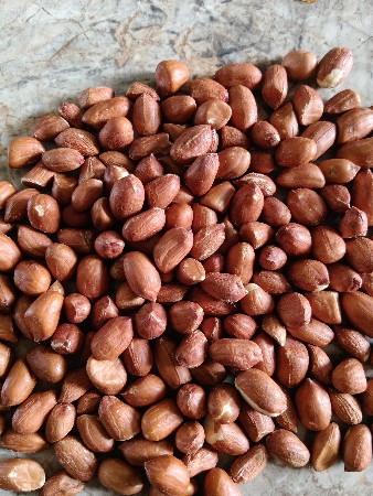 23  nambar biyaran  7.8 man