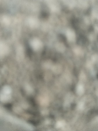 ગિરનાર ૪ મગફળી નું બિયારણ