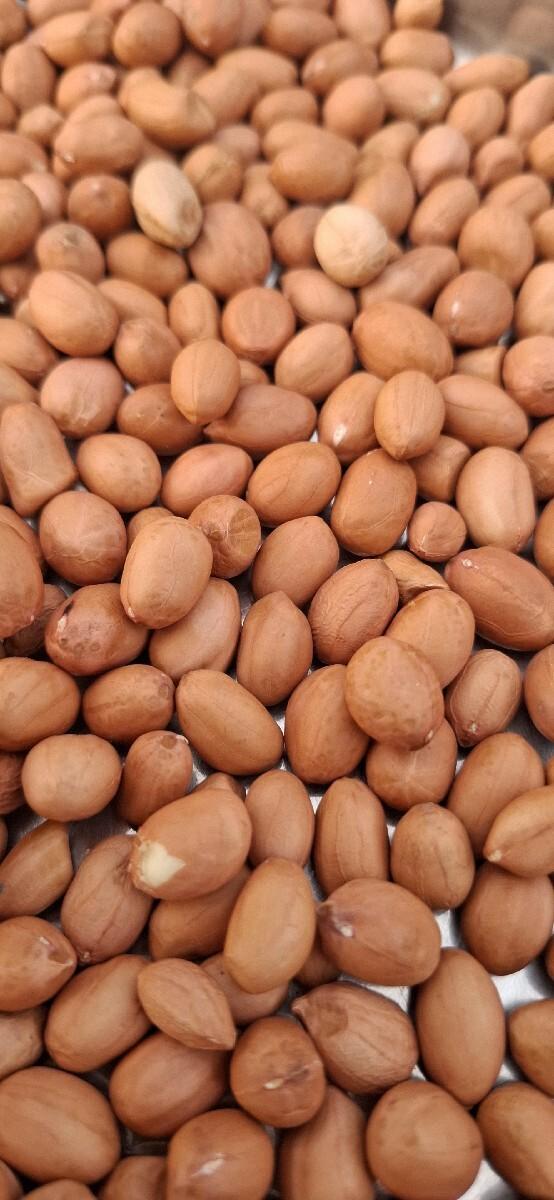 એરીનો ઓતરા