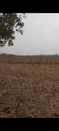 જીવનારી ગામ