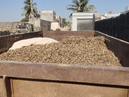 ટ્રોલી વેચવાની છે