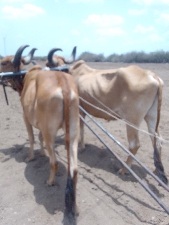 જામનગર જીલ્લો ભાણવડ તાલુકો