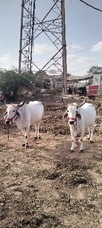 શિવ શહેર