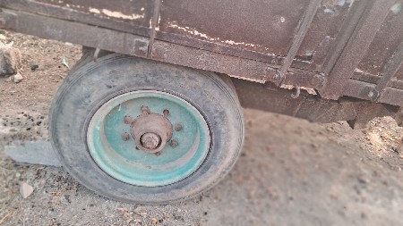 બેટોલી વેશવાનીછે