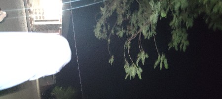 ભૂકો વેચવાનો‌થે
