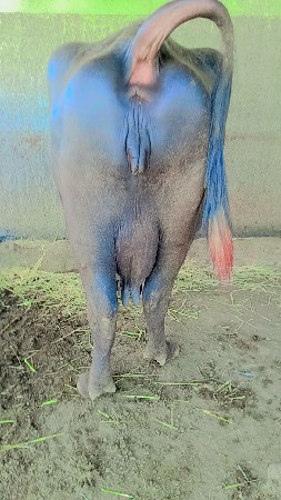 9925330553
