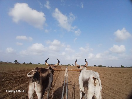 વેચવાના છે
