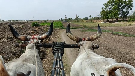 દયા ગામ તાલુકો રાજકોટ