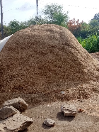 ચણાની ખારી વેચવાની છે