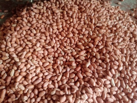 k 41 આપવાનું છે