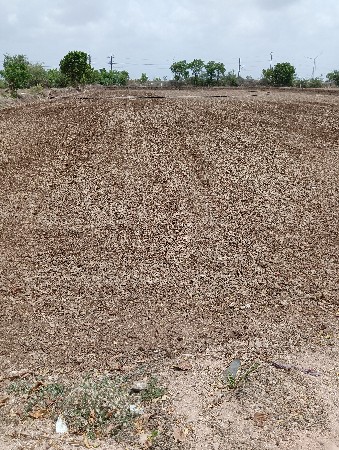 27.50 વીઘા વેચવાનું શે