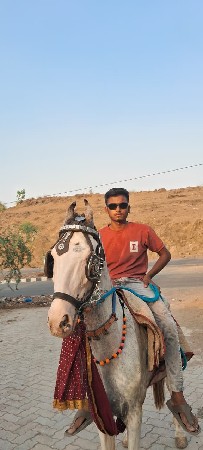 ghodo
