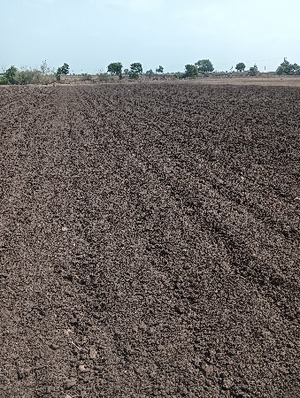 જમીન વેચવાની છે