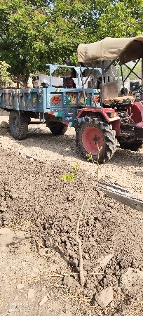 યુવરાજ 215 ટ્રેક્ટર વેચવાનુ છે.