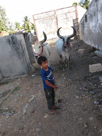 બહરધ